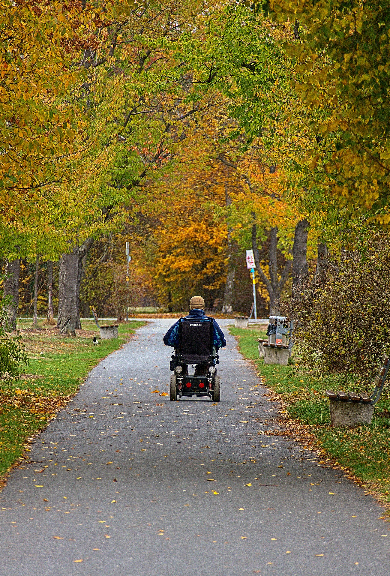man in wheelchair riding on paved trail with fall foliage